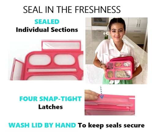 Bento Lunch Boxes with Ice Packs Bento-Box Insulated Bag Ice Cold Pack Set of Two for Kids Adults Value Container Set for School Kid Lunches, 6 Compartments Leakproof BPA Free, Blue & Pink