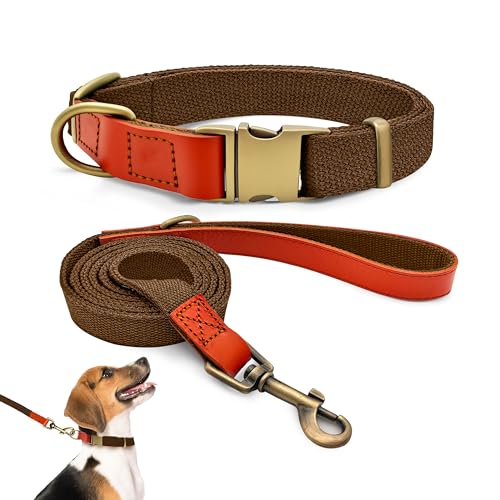 Ensemble collier et laisse pour chien marron réglable taille M - 2