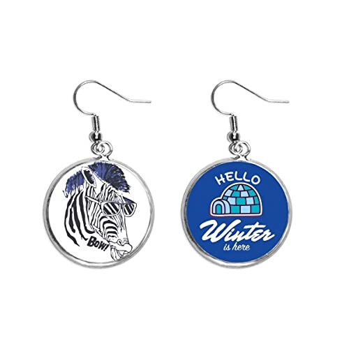 Pendientes de cebra colgantes joyería de invierno estilo hielo y gota