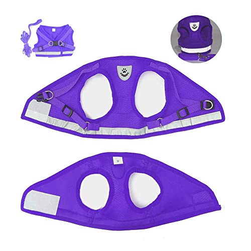 Image of FEimaX Dog Harness and Leash Set for Walking, Soft Mesh Adjustable Easy Control Lightweight Cat Vest Harnesses with Reflective Strips, Escape Proof Small Dogs Cats Vests