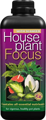 Houseplant Focus Balanced Liquid Concentrated Fertiliser 1 Litre
