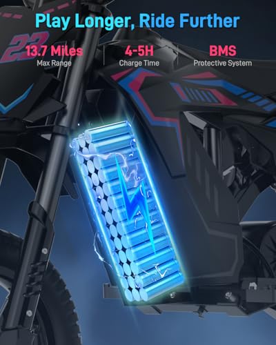 QWAYQ 36V Electric Dirt Bike