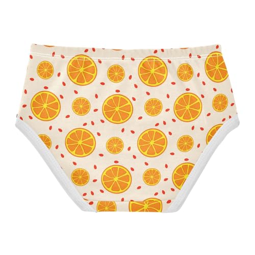 Fruit Orange Yellow Toddler Girls's Underwear 2T 23019012