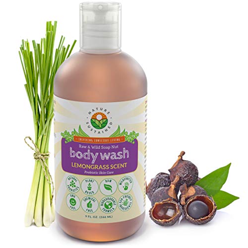 Nature Sustained Organic Body Wash & Face Wash – Raw & Wildcrafted with Probiotics, Soapberry Formula for Eczema & Psoriasis - Wild Plants Selected for Sensitive & Dry Skin, 9oz, Original