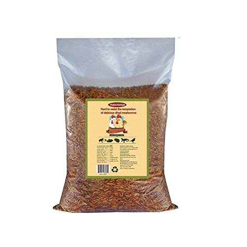 Gardenpt 22 LB Bulk Dried mealworms for Birds Food, Chicken Feed, Retiles Food, and More