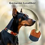 Plutus Pet Genuine Leather & Hemp Dog Collar – Adjustable Heavy Duty Pet Collar with Quick Release Metal Buckle, Soft & Stylish for Puppy and Small, Medium, Large Dogs (Blue, XS) - Image 3