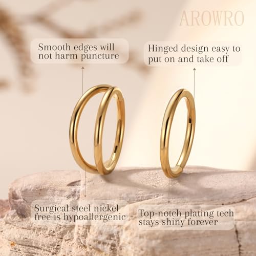 AROWRO Conch Piercing Jewelry Septum Jewelry Nose Ring Hoop 20G 18G 16G 316L Surgical Steel Hinged Segment Ring Hoop Helix Daith Rook Tragus Cartilage Piercing Jewelry2