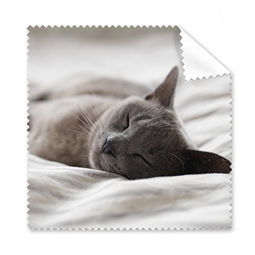 Cadeau cute animal photo chat gris tissu nettoyage lunettes et &eacute;cran