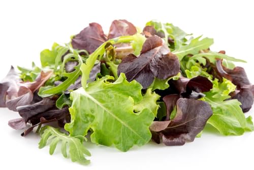 Baby Leaf Greens Mix Seed Tape | 15 Feet