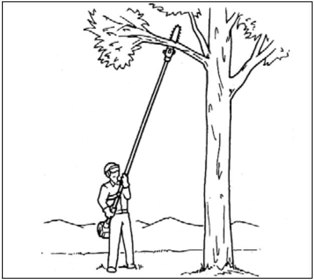 Miniatura 2 de Sierra de poste de 42.7 cc, extensión de sierra de rama alta a cortador de árbol retráctil de aluminio, potente sierra de poste inalámbrica de gas