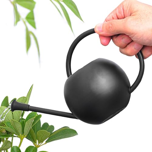 Plant Watering Can, Small Watering Can, Stainless Watering Can, Elegant Watering Kettle, Bonsai Watering Can, Garden Watering To