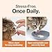 Doctor By Cat Enzyme Swift Cat Digestive Enzyme Supplement Vomiting Diarrhea, Loss of Appetite, Hairball with Pancreatine, Papain, Bromelain, Micro-Size for Easy Swallowing, 60 Sprinkle Capsules