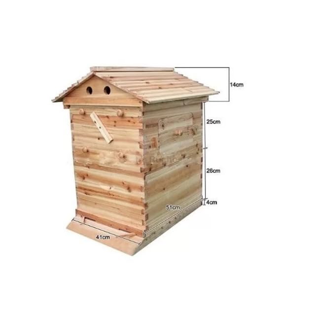 ruche automatique premium en bois récolte facile du miel