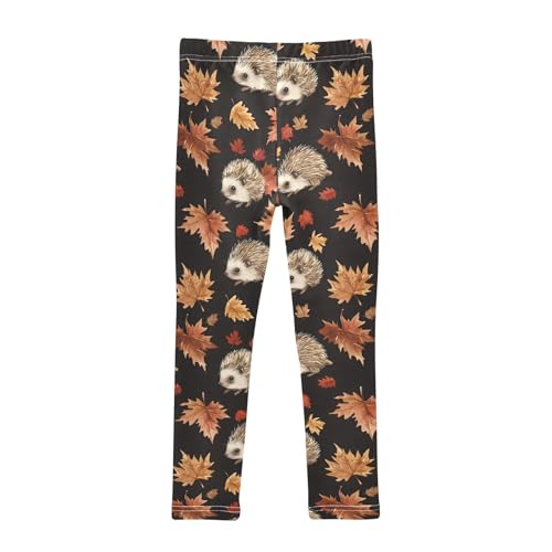 Autumn Hedgehogs Maple Leaves Girls Leggings Ultra Soft Compression Yoga Gym Pants for Kids 4-10T2
