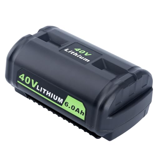 Biswaye 40V Battery - Compatibility