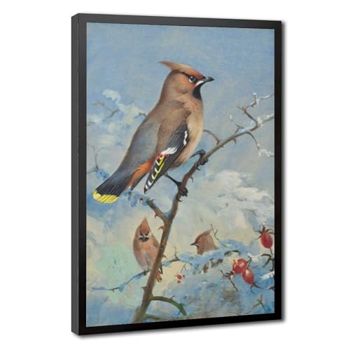 Waxwing Peinture Toile Oiseau Poster Rompre la Monotonie des Murs Blancs de Bureau