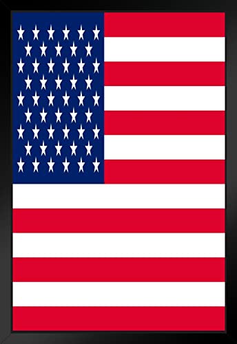 USA Flag Black Wood Framed Art