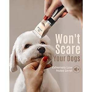 oneisall Dog Clippers Low Noise, 2-Speed Quiet Dog Grooming Kit Rechargeable Cordless Pet Hair Clipper Trimmer Shaver for Small and Large Dogs Cats Animals (Gold) oneisall Dog Clippers Low Noise 2 Speed Quiet Dog Grooming Kit Rechargeable Cordless Pet Hair Clipper Trimmer Shaver for Small and Large Dogs Cats Animals Gold