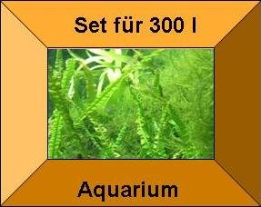 Mühlan Topartikel- 15 Töpfe + 15 Bund Wasserpflanzen, Aquarienpflanze, Komplettbepflanzung für größere Aquarien