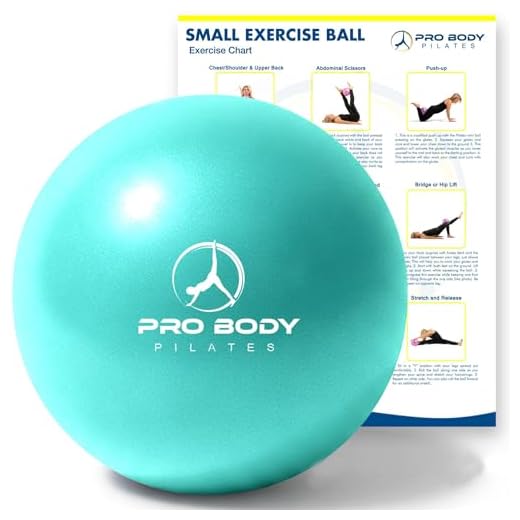 ProBody Pilates Ball Small Exercise Ball, 9 Inch Bender Ball, Mini Soft Yoga Ball, Workout Ball for Stability, Barre, Fitness, Ab, Core, Physio and Physical Therapy Ball at Home Gym & Office (Aqua)