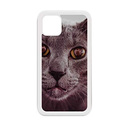 Coque iPhone 12 Pro Max chat gris gros yeux étui Apple rigide blanc