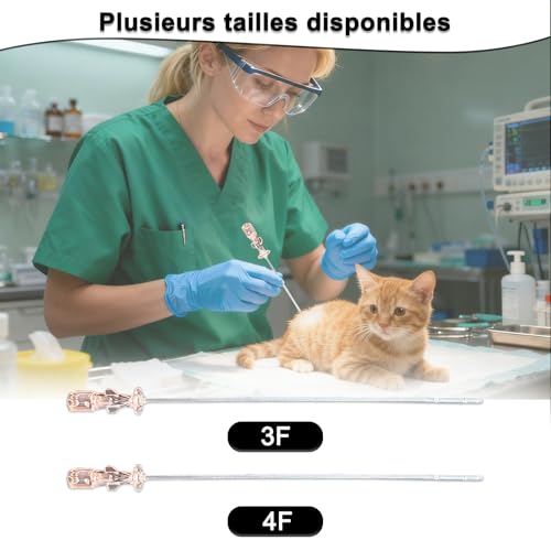 Cathéter pour drainage urinaire félin 3FR insertion fluide et sûre 10pcs