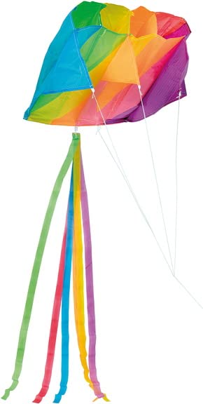 Wdk Partner - Flying wing, A2300764