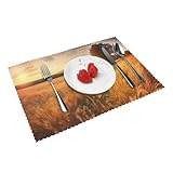 Utilisation polyvalente : qu'ils soient utilisés seuls ou avec des nappes, des chemins de table ou des serviettes, ces sets de table multifonctionnels sont adaptés pour les repas quotidiens et les occasions spéciales telles que les repas en plein air, les dîners, les anniversaires et les festivals