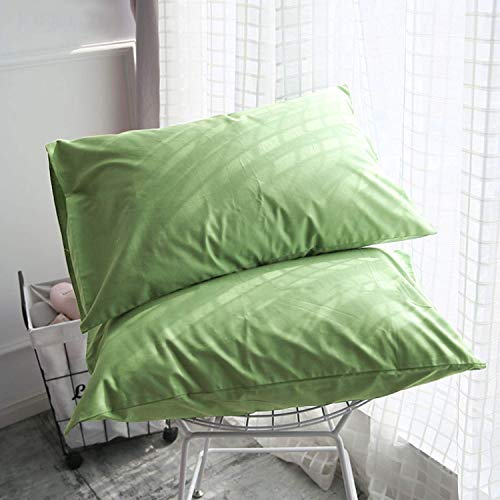 FLXXIE Microfiber Pillow Cases Queen Size Set of 2, Soft Pillowcases with Envelope Closure, Wrinkle Resistant Pillow Covers, 20x30, Sage Green