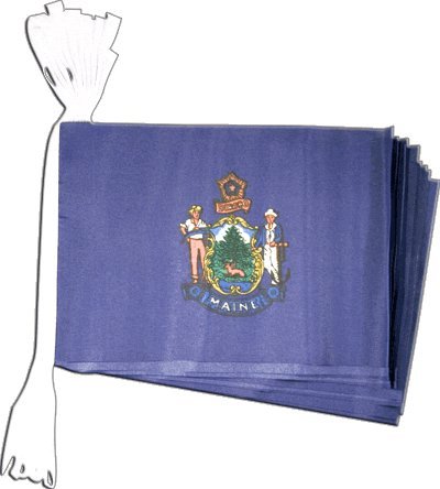 Guirlande drapeau USA US Maine Digni de 5,9 m pour decoration exterieure