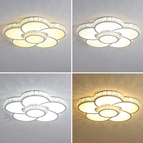 Plafond de fleurs moderne avec éclairage harmonieux de 60 cm - 5