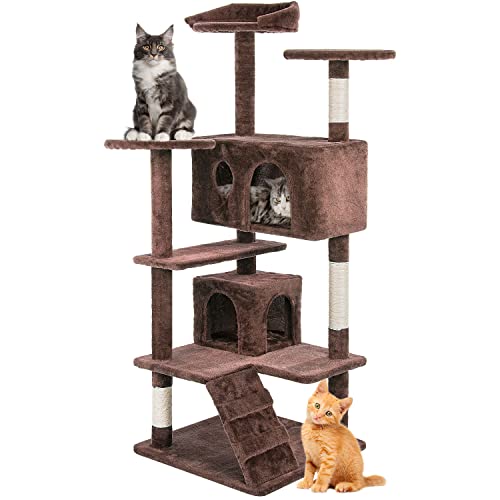 Our Top Picks for Crazy Cool Cat Condos