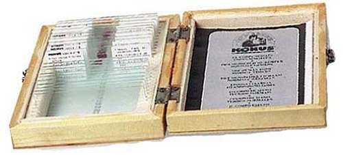 Preisvergleich Produktbild Konus Dauerpräparate: Mensch- + Tierschmarotzer