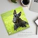 Scottish Terrier Wall Calendar 2026 | 12