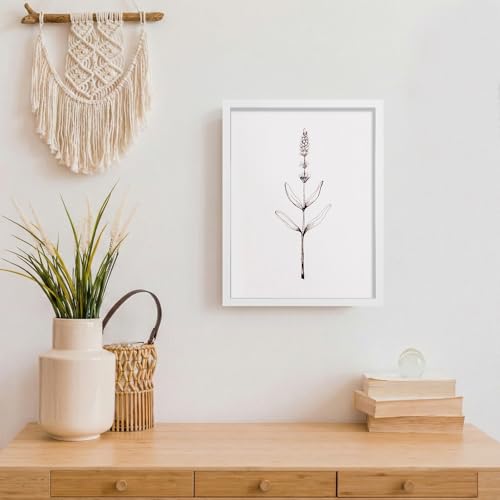 Image of LaVie Home 9x12 Picture Frame for Wall Display, 9x12 White Picture Frame with HD Plexiglas, 9 x 12 Poster Frame 1 Pack, Display Frame for Vertical or Horizontal, Classic Collection