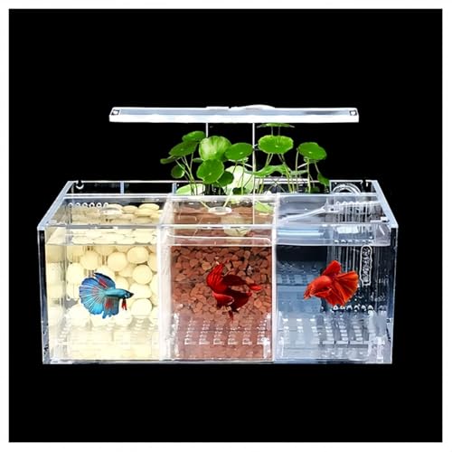 zjdgweh ベタ水槽水族館アクリル素材ミニデスクトップ小型魚水槽ボウルキット、LEDライト付き自己循環生態タンク病気の魚隔離室 卓上用・仕切り付き・闘魚飼育対応 透明 観賞魚飼 魚飼育 金魚 (3グリッド+LEDライト)