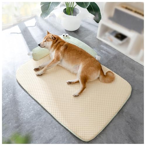  xbh  Ђ ڐG⊴ p΍ ʋC  fM 􂦂 ~ ybgxbh Ђ pxbh pxbhėp ybg J[ybg ybgxbh ėp,Yellow-L