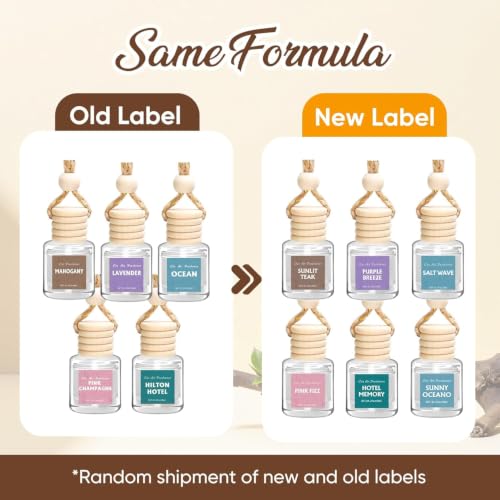 Image of AROIC 12 Pack Car Air Freshener, Car Essential Oil Air Freshener Diffuser
