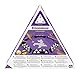 Goliath Toys Triominos 6 Players, Brettspiel ab 6 Jahren, Gesellschaftsspiel für die Ganze Familie (bis zu 6 Spieler), Mit Hochwertige Steine, Geeignet für Jung und Alt