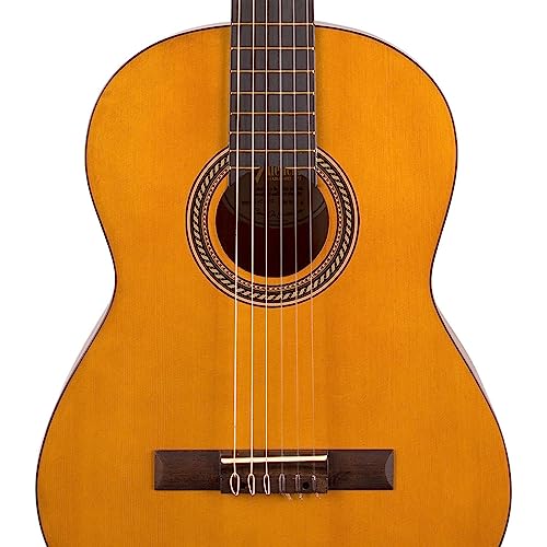 Image of Valencia 200 Series Classical Guitar 4 /4 size Antique Natural with Truss Rod VC214