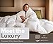 baisihan OverCloud™ Goose Down Comforter, Queen Size All Seasons Down Duvet Insert, Hotel Collection Comforter Ultra Soft 700+ Fill Power Down Proof Duvet Insert with Corner Tabs (90