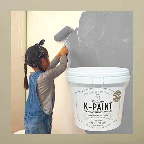 EB K-PAINT 5kg XO[ ]y h DIY tH[ PC\E {