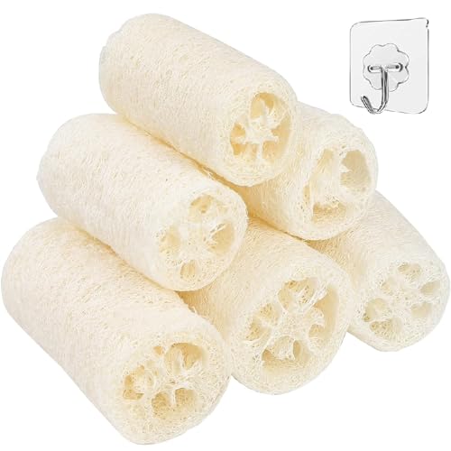 Loofah Sponge Natural, Loofah Cucumber Remove Dead Skin, Kitchen Loofah Sponge, 6 Pieces, Exfoliating Scrubber, Loofah 10 cm Natural Fibre Sponge, Perfect for Body Care, Kitchen, Bathroom Scrubber and Loofah Sponge Natural, Loofah Cucumber Remove Dead Skin, Kitchen Loofah Sponge, 6 Pieces, Exfoliating Scrubber, Loofah 10 cm Natural Fibre Sponge, Perfect for Body Care, Kitchen, Bathroom Scrubber and