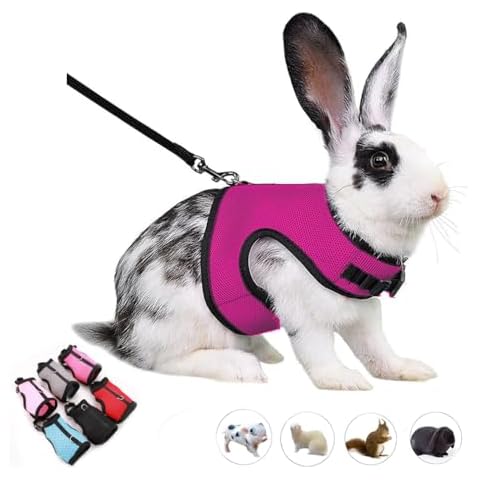 Bunny Harness and Leash Set Cover