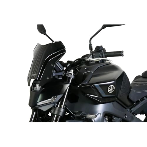 【MT-09】MRA スクリーン (14-16) 41NgaltC3WL.jpg