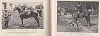 American polo. B000I74GEG Book Cover