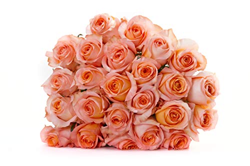 Rose Delivery by BloomsyBox - Two Dozen Peach Roses Hand-Tied, Long Vase Life