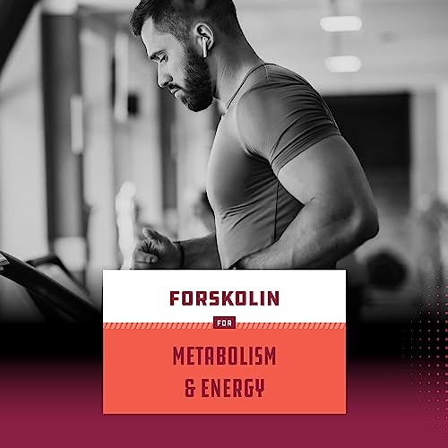 Pure Forskolin Extract - Fat Burning & Metabolism Boosting Weight Loss Supplement - Natural Pills For Women & Men 30 Servings Per Container #TOP5