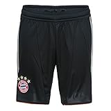 champions league 2012/13 bayern barcelona  Adidas FC Bayern München Short Champions League 2012/2013 Kinder XL - 176