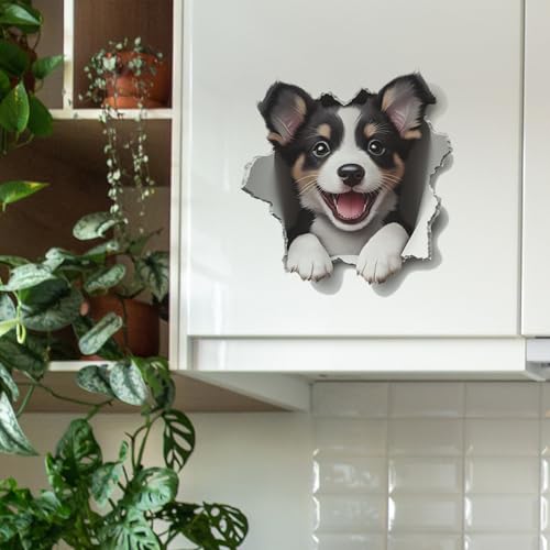 Vinilo decorativo 3D Cute Corgi Puppy Achang miniatura 5